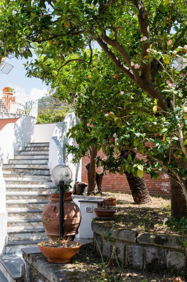 Villa Francesca Relais Piano di Sorrento Eksteriør billede